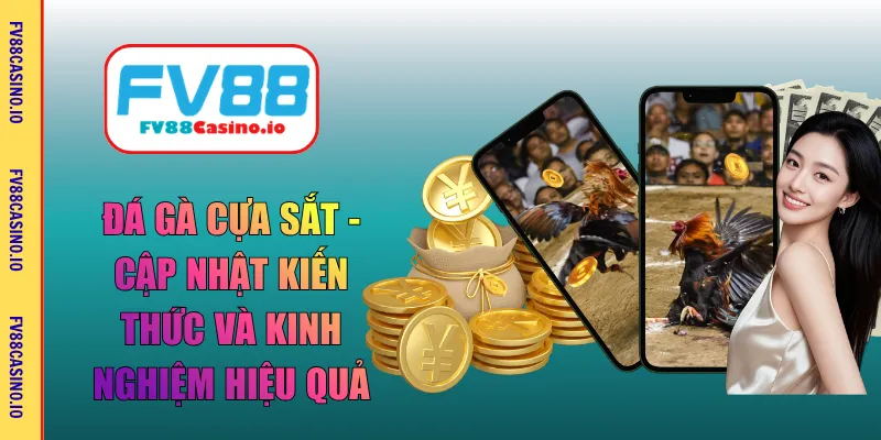 đá gà cựa sắt