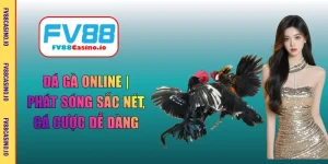 đá gà online