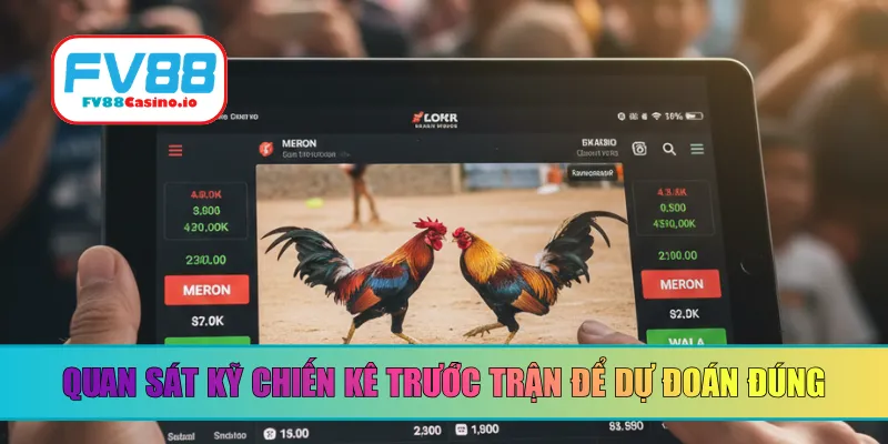 Luôn đảm bảo quan sát kỹ chiến kê trước trận để dự đoán đúng